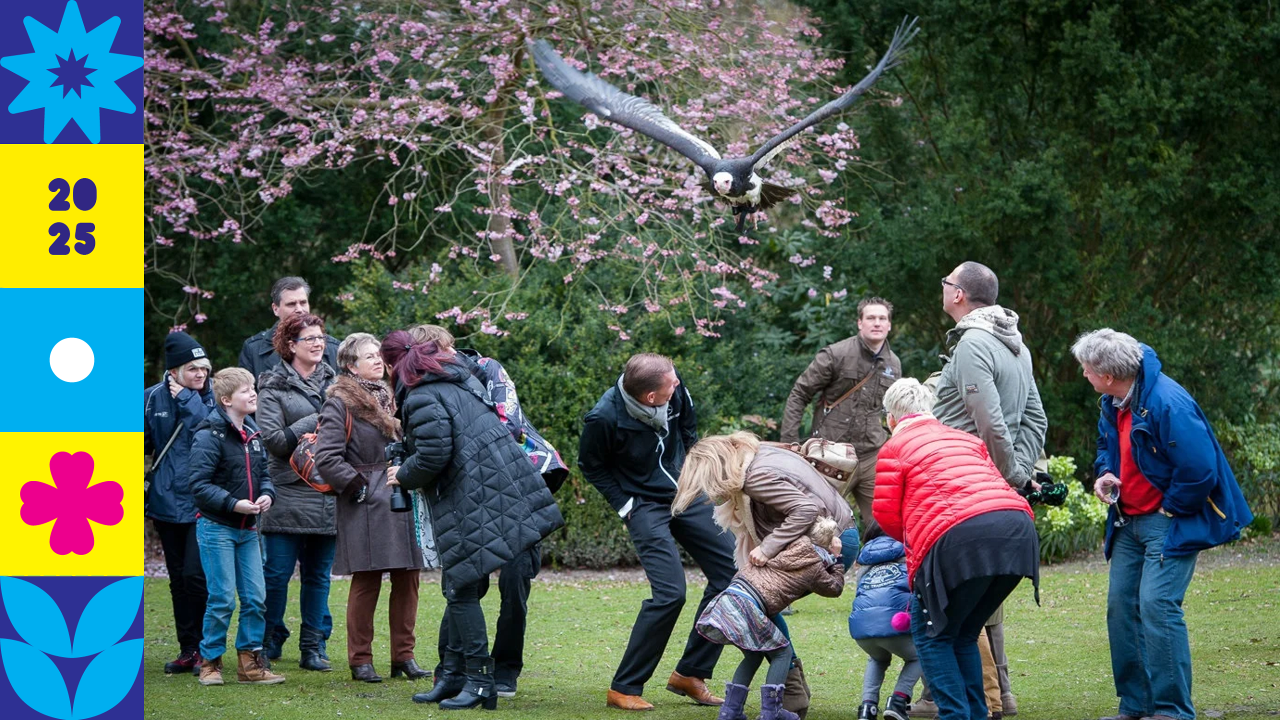 2025 – Roofvogelshow